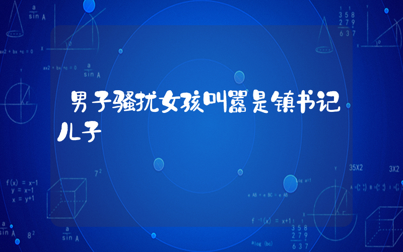 男子骚扰女孩叫嚣是镇书记儿子插图