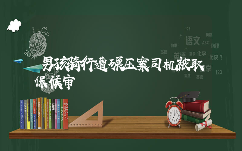 男孩骑行遭碾压案司机被取保候审插图