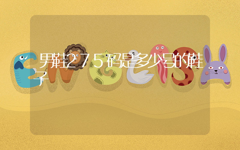 男鞋275码是多少号的鞋子插图