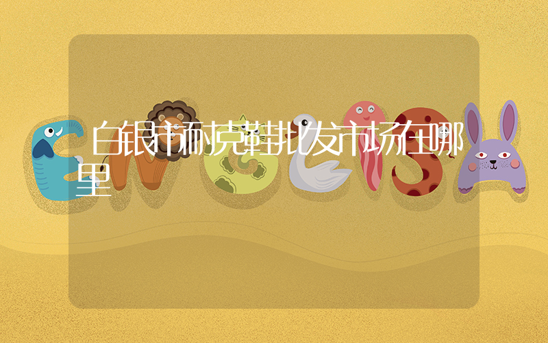 白银市耐克鞋批发市场在哪里插图