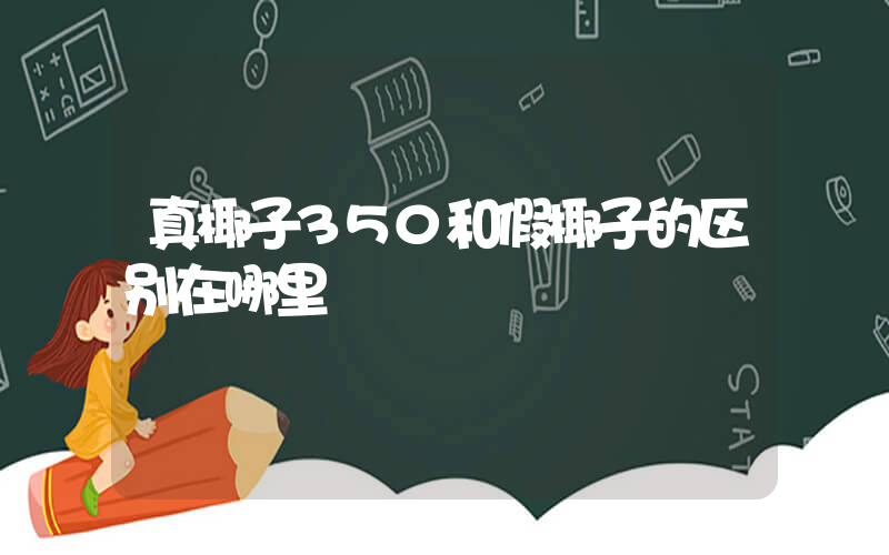 真椰子350和假椰子的区别在哪里插图