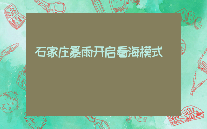 石家庄暴雨开启看海模式插图