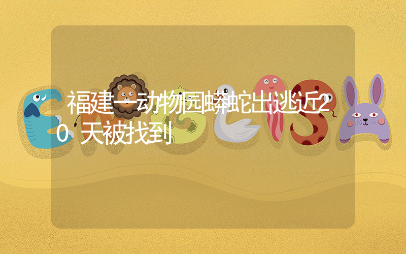 福建一动物园蟒蛇出逃近20天被找到插图