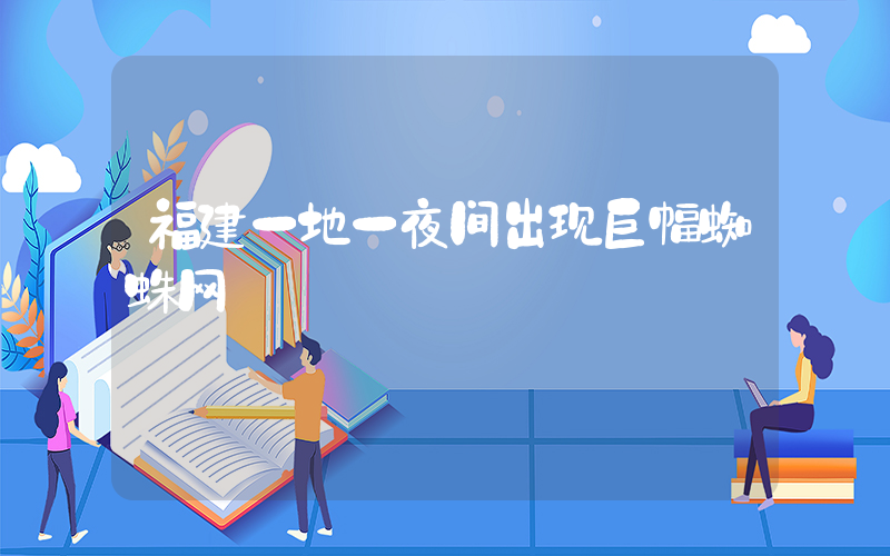 福建一地一夜间出现巨幅蜘蛛网插图