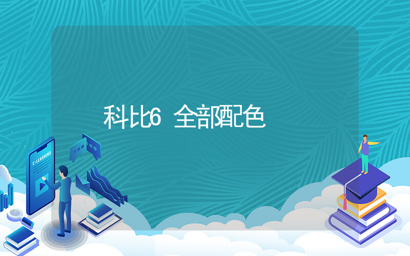 科比6全部配色插图