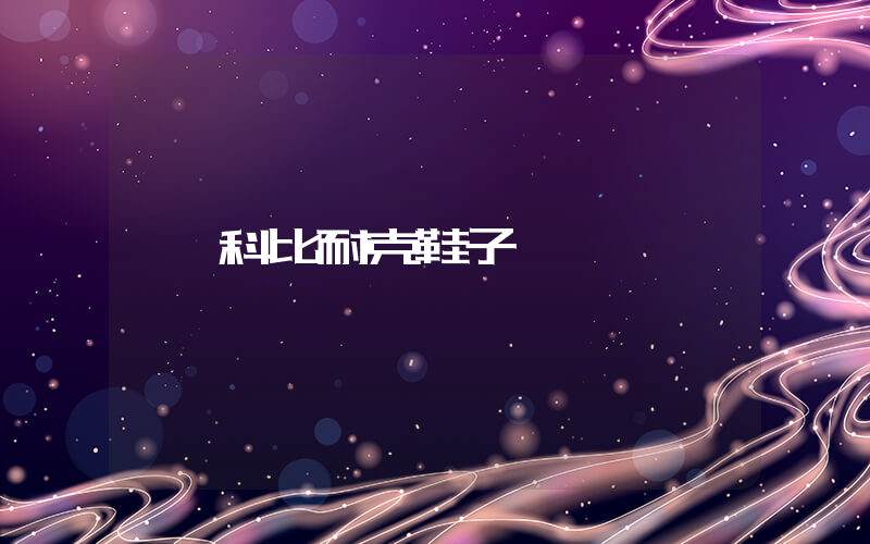 科比耐克鞋子插图