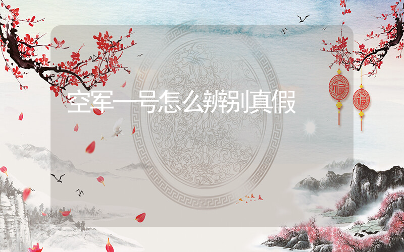 空军一号怎么辨别真假插图