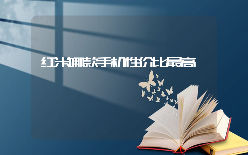 红米哪款手机性价比最高插图