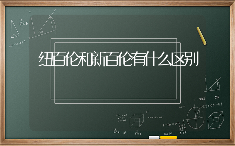 纽百伦和新百伦有什么区别插图