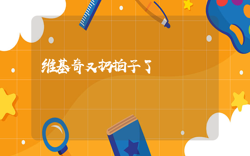 维基奇又扔拍子了插图