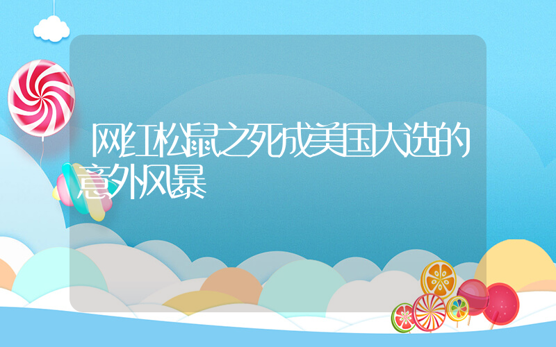 网红松鼠之死成美国大选的意外风暴插图