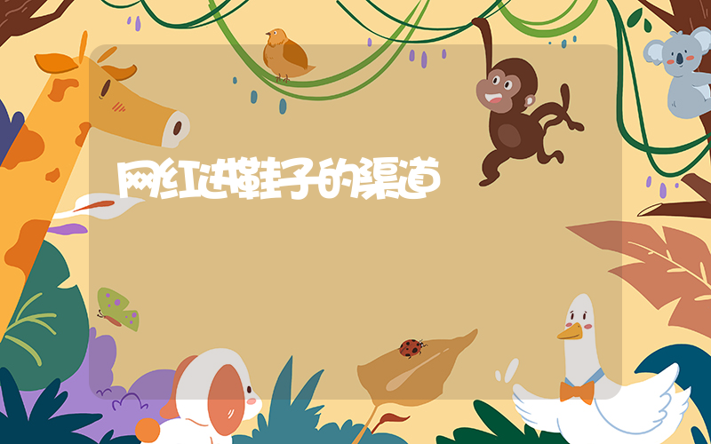 网红进鞋子的渠道插图