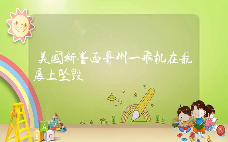 美国新墨西哥州一飞机在航展上坠毁插图