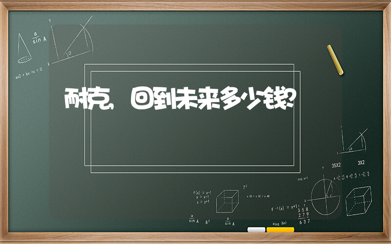 耐克,回到未来多少钱？插图