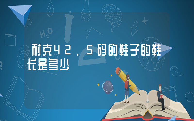 耐克42.5码的鞋子的鞋长是多少插图