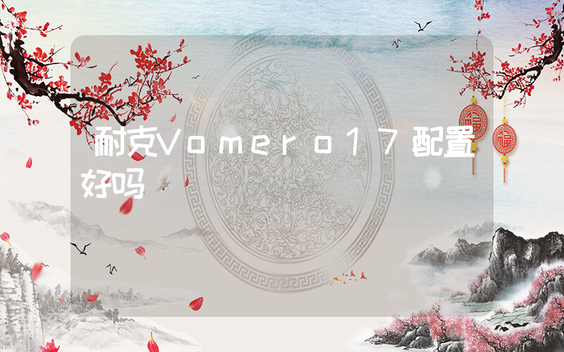 耐克Vomero17配置好吗插图