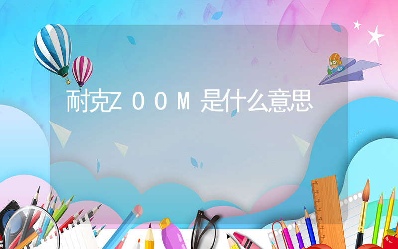 耐克ZOOM是什么意思插图