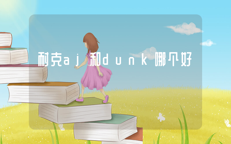 耐克aj和dunk哪个好插图