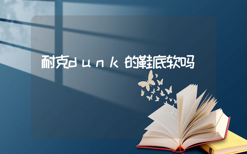 耐克dunk的鞋底软吗插图