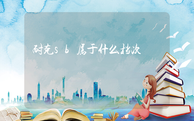 耐克sb属于什么档次插图