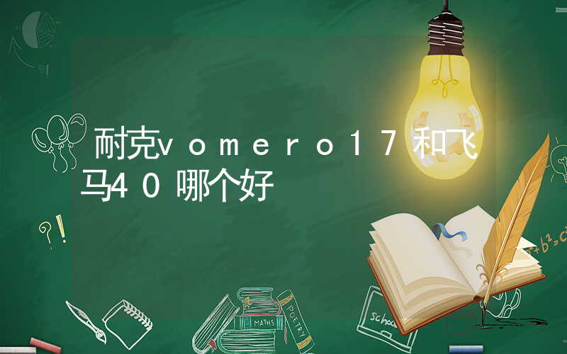 耐克vomero17和飞马40哪个好插图 耐克vomero17和飞马40哪个好插图