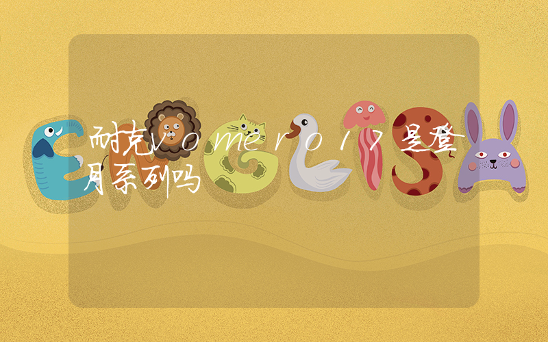 耐克vomero17是登月系列吗插图