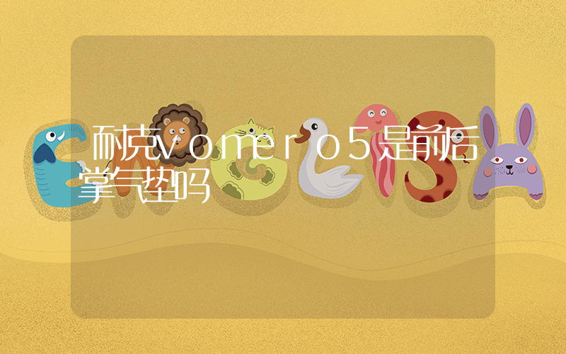 耐克vomero5是前后掌气垫吗插图