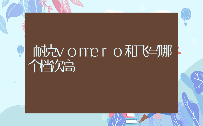 耐克vomero和飞马哪个档次高插图