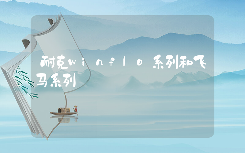 耐克winflo系列和飞马系列插图