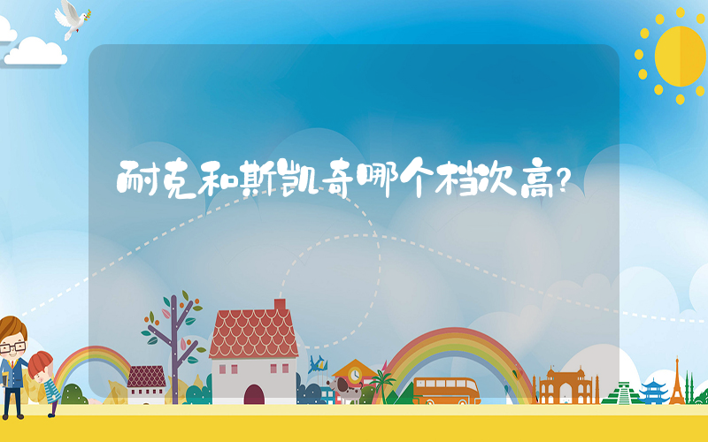 耐克和斯凯奇哪个档次高？插图