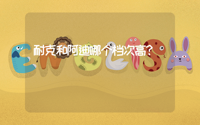 耐克和阿迪哪个档次高？插图
