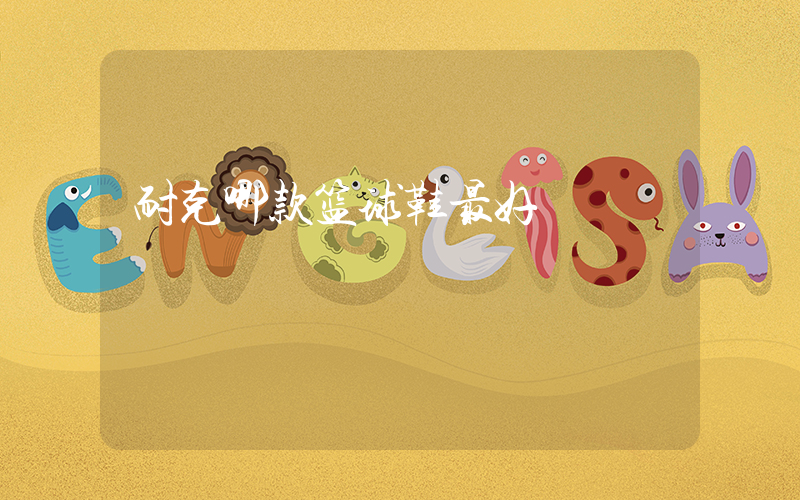 耐克哪款篮球鞋最好插图