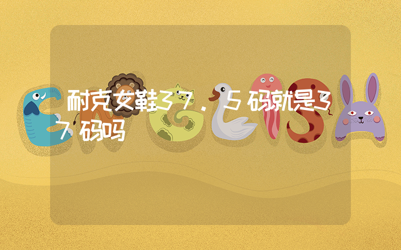 耐克女鞋37.5码就是37码吗插图