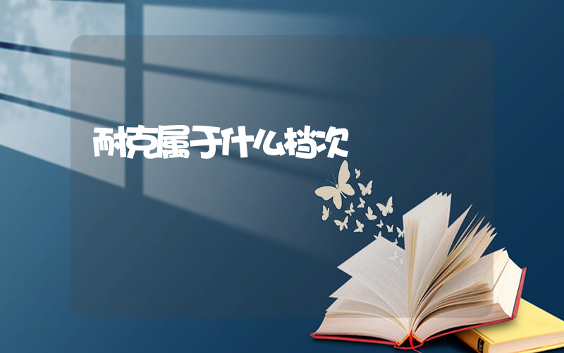 耐克属于什么档次插图