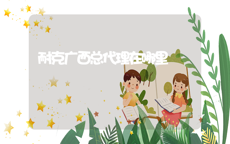 耐克广西总代理在哪里插图