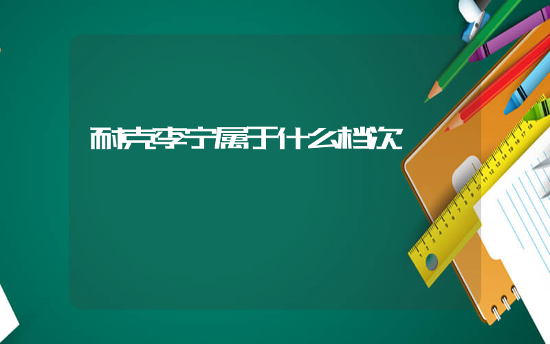 耐克李宁属于什么档次插图