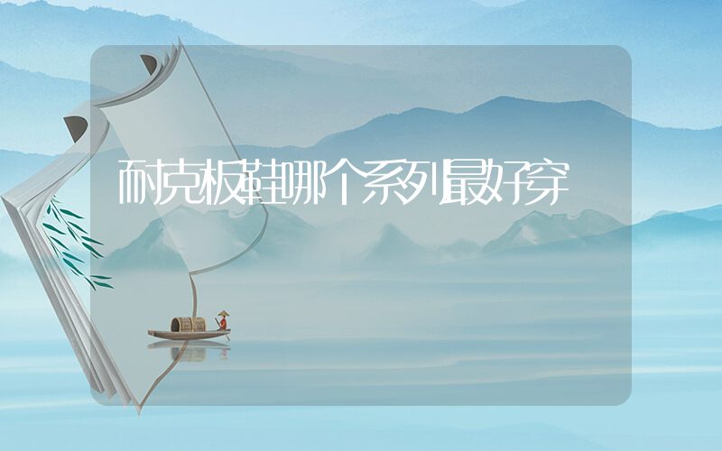 耐克板鞋哪个系列最好穿插图