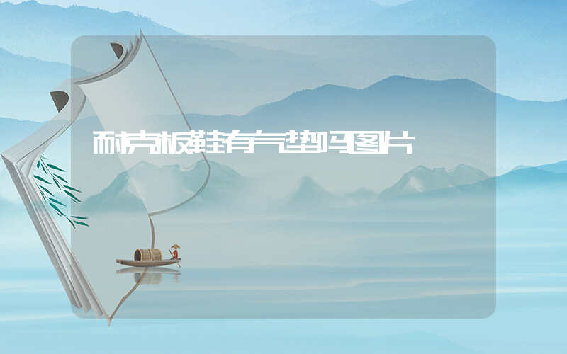 耐克板鞋有气垫吗图片插图