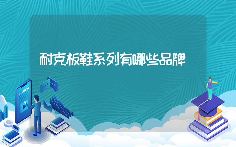 耐克板鞋系列有哪些品牌插图