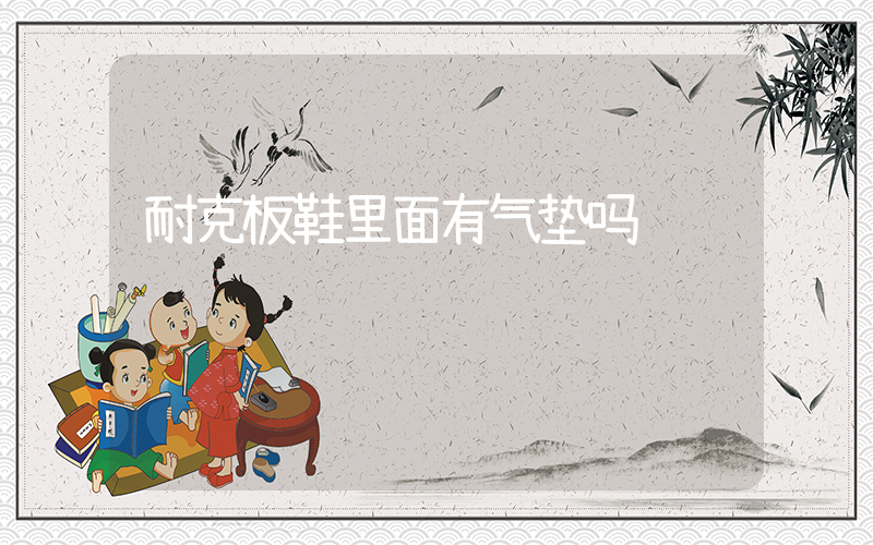 耐克板鞋里面有气垫吗插图