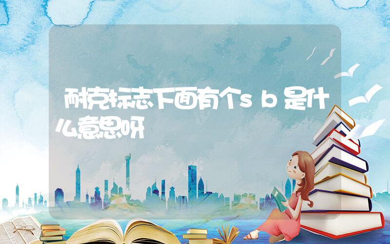 耐克标志下面有个sb是什么意思呀插图