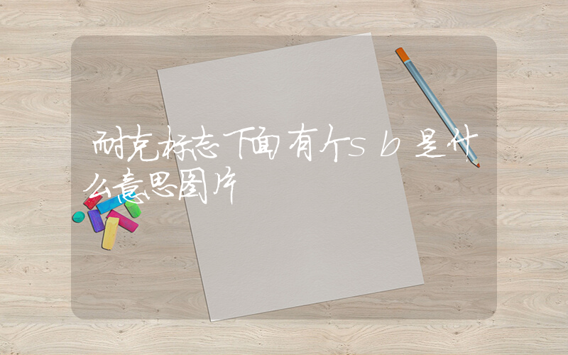 耐克标志下面有个sb是什么意思图片插图