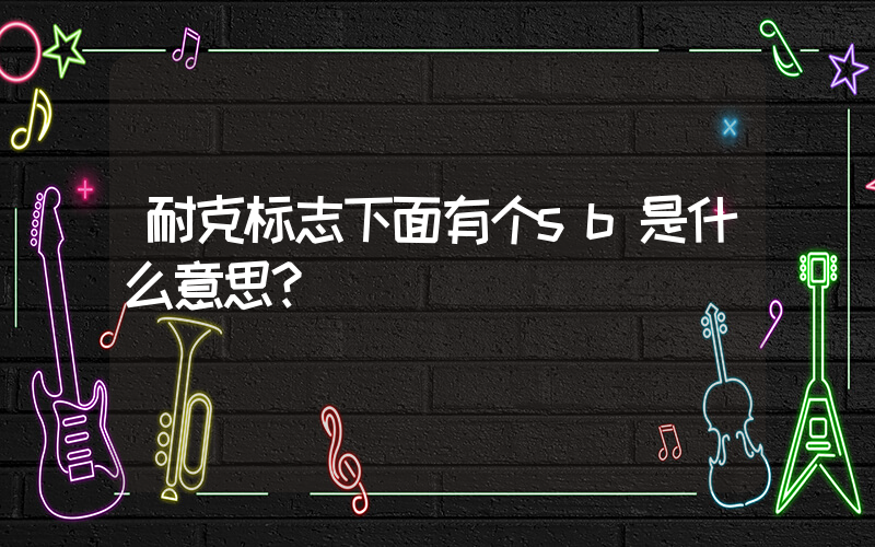 耐克标志下面有个sb是什么意思？插图
