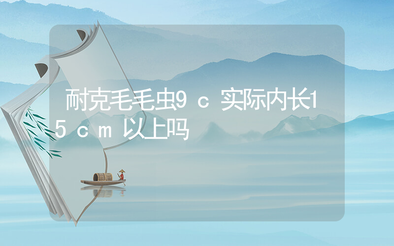 耐克毛毛虫9c实际内长15cm以上吗插图