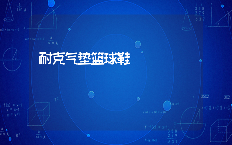 耐克气垫篮球鞋插图