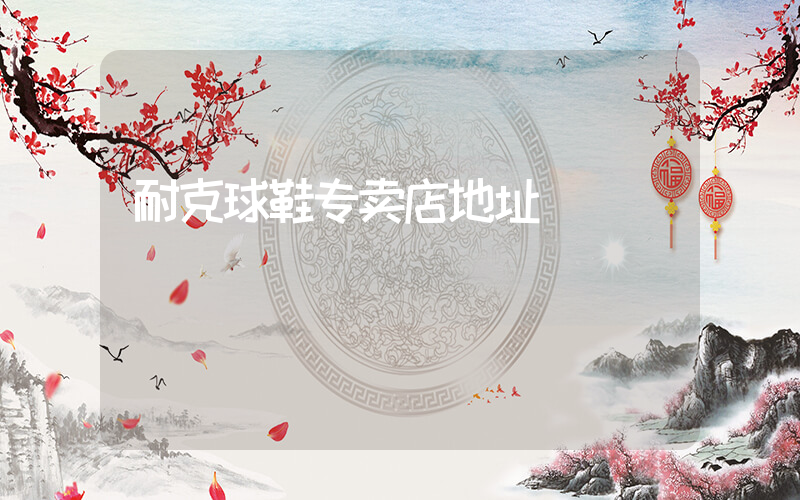 耐克球鞋专卖店地址插图