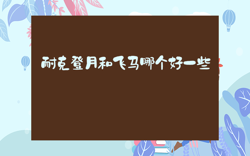 耐克登月和飞马哪个好一些插图