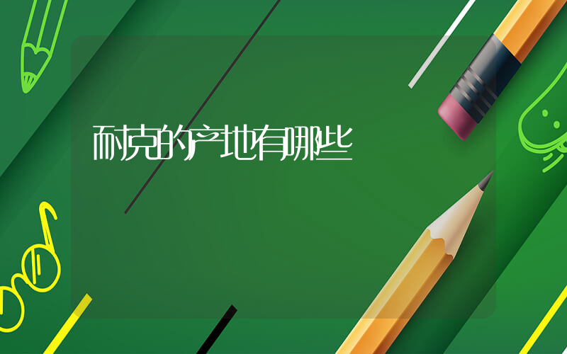 耐克的产地有哪些插图