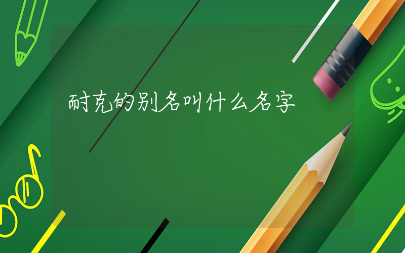 耐克的别名叫什么名字插图