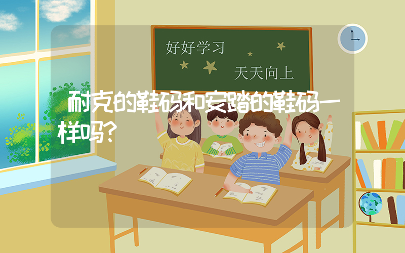 耐克的鞋码和安踏的鞋码一样吗？插图